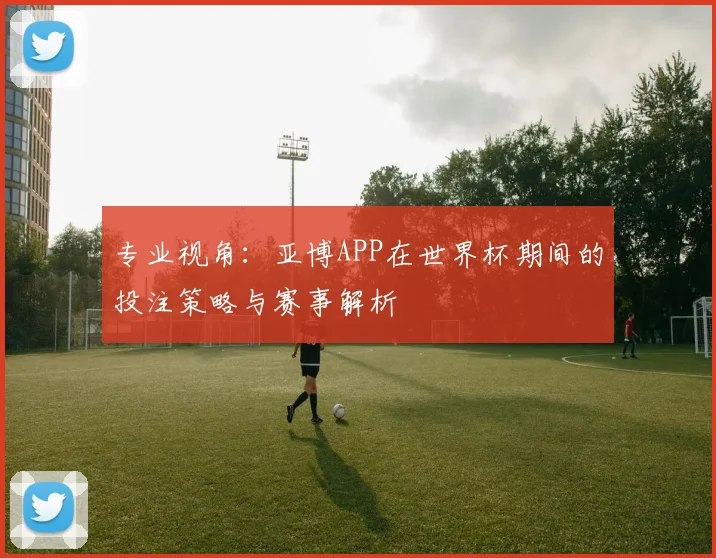 专业视角：亚博APP在世界杯期间的投注策略与赛事解析