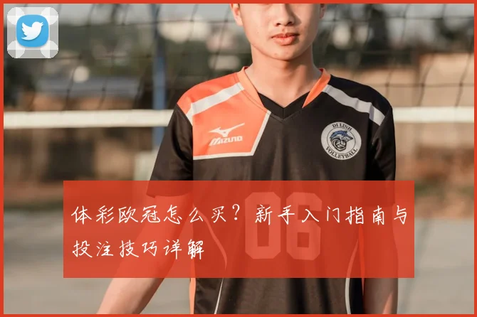 体彩欧冠怎么买？新手入门指南与投注技巧详解
