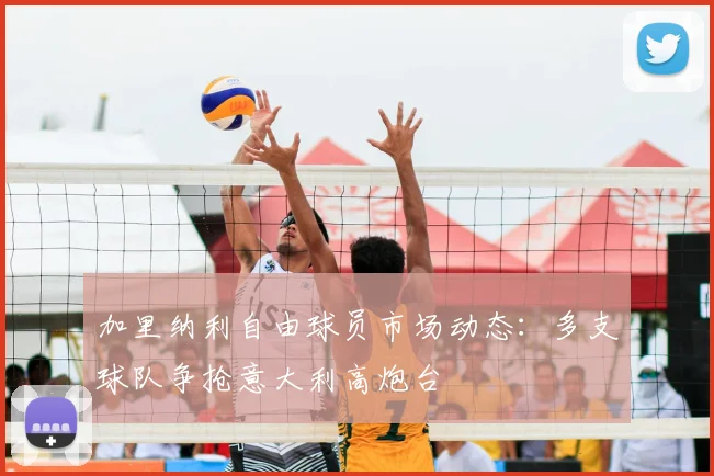 加里纳利自由球员市场动态：多支球队争抢意大利高炮台